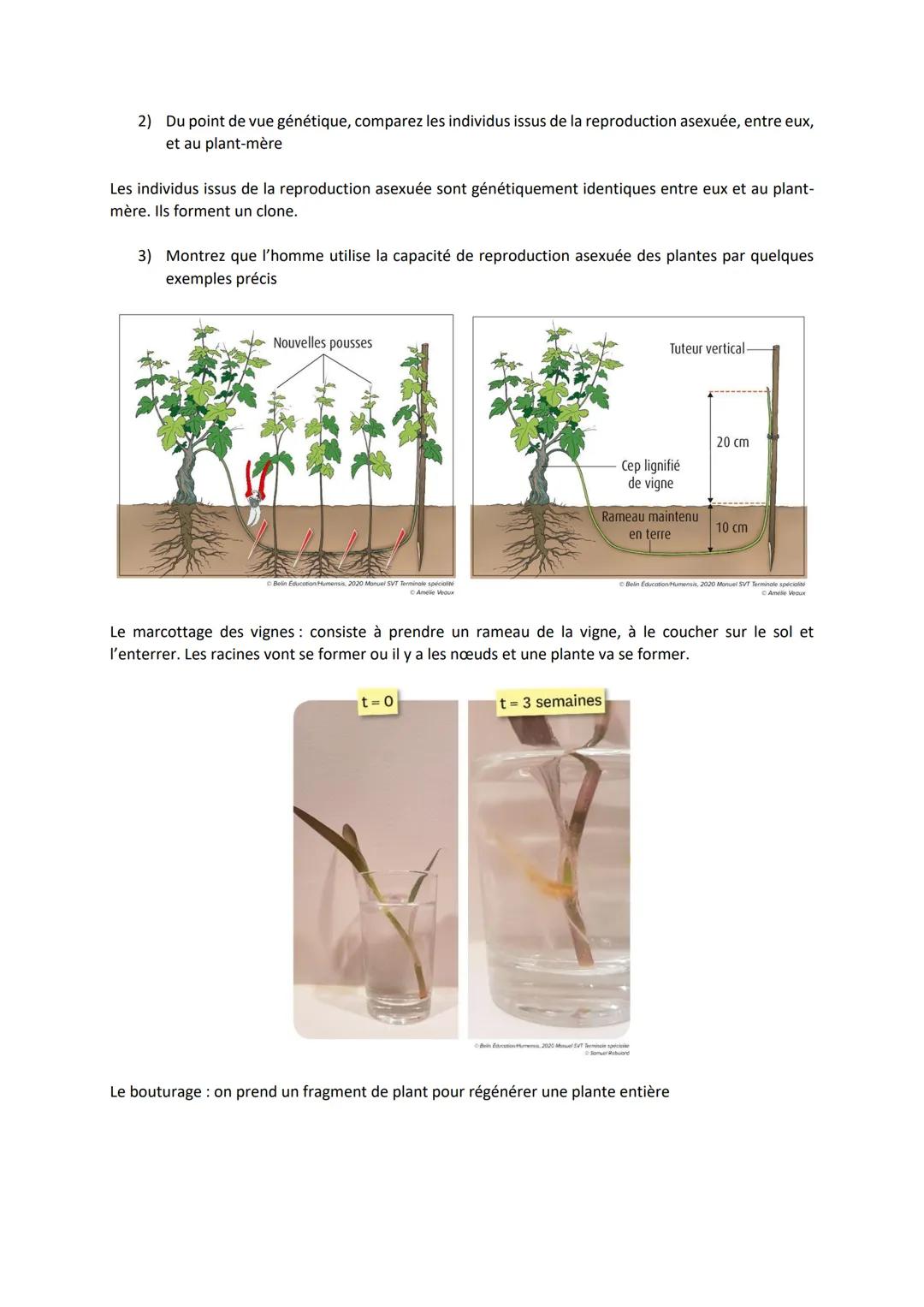Chapitre 3
REPRODUCTION DES PLANTES
À FLEURS, ENTRE VIE FIXÉE
ET MOBILITÉ
I.
Introduction
https://www.youtube.com/watch?time continue=134&v=