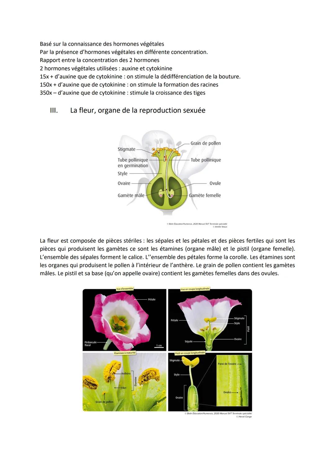Chapitre 3
REPRODUCTION DES PLANTES
À FLEURS, ENTRE VIE FIXÉE
ET MOBILITÉ
I.
Introduction
https://www.youtube.com/watch?time continue=134&v=