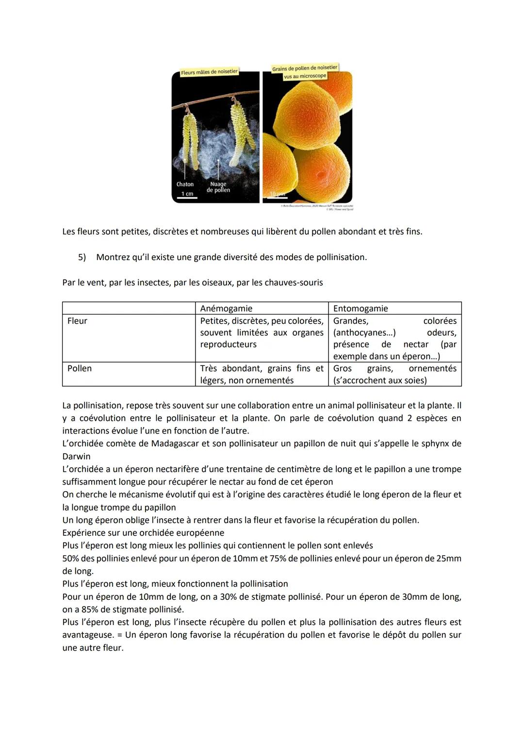 Chapitre 3
REPRODUCTION DES PLANTES
À FLEURS, ENTRE VIE FIXÉE
ET MOBILITÉ
I.
Introduction
https://www.youtube.com/watch?time continue=134&v=