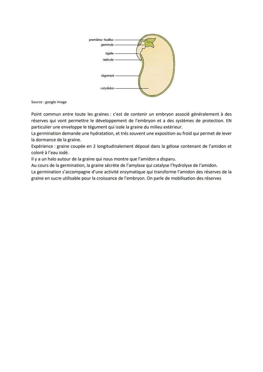 Chapitre 3
REPRODUCTION DES PLANTES
À FLEURS, ENTRE VIE FIXÉE
ET MOBILITÉ
I.
Introduction
https://www.youtube.com/watch?time continue=134&v=