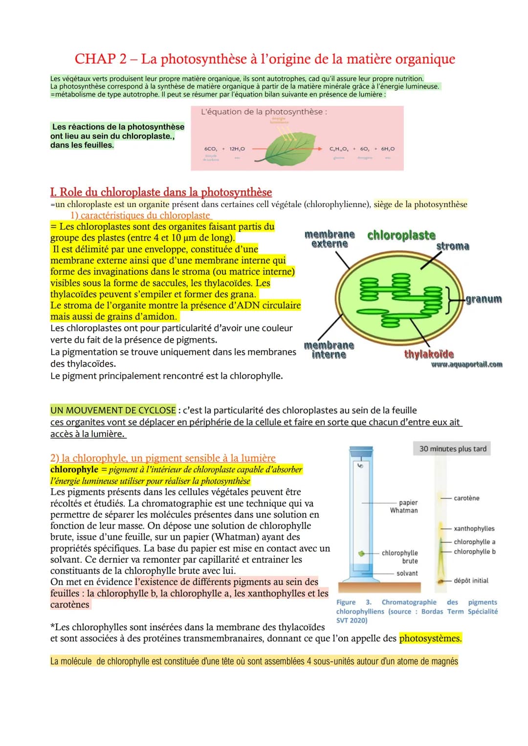 CHAP 2 - La photosynthèse à l'origine de la matière organique
Les végétaux verts produisent leur propre matière organique, ils sont autotrop