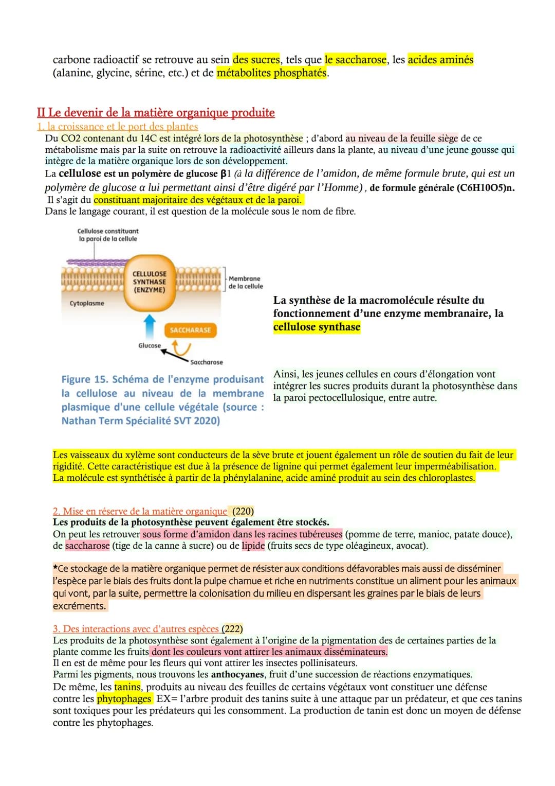 CHAP 2 - La photosynthèse à l'origine de la matière organique
Les végétaux verts produisent leur propre matière organique, ils sont autotrop