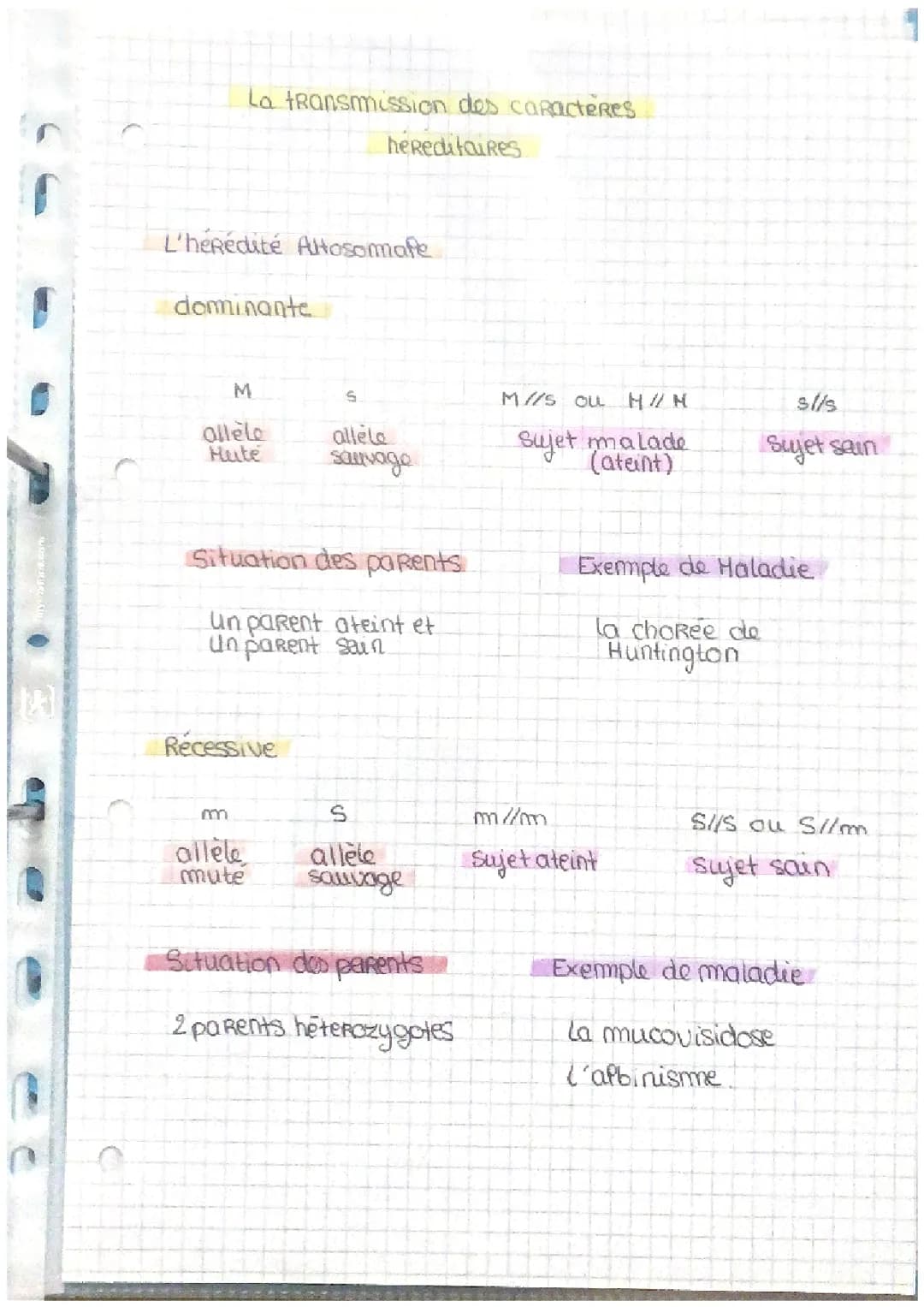 Découvre la Transmission des Caractères Héréditaires : Exercices et Exemples PDF