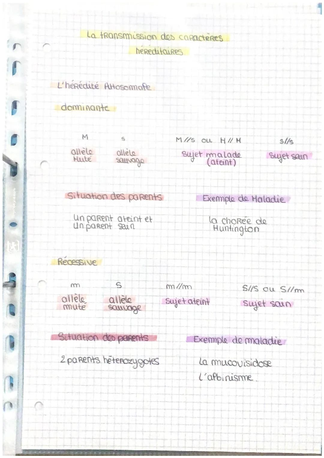 18
La transmission des caracteres
hereditaires
L'hérédité Altosomale
dominante
M
allèle
Mute
Situation des parents
Un parent ateint et
un pa
