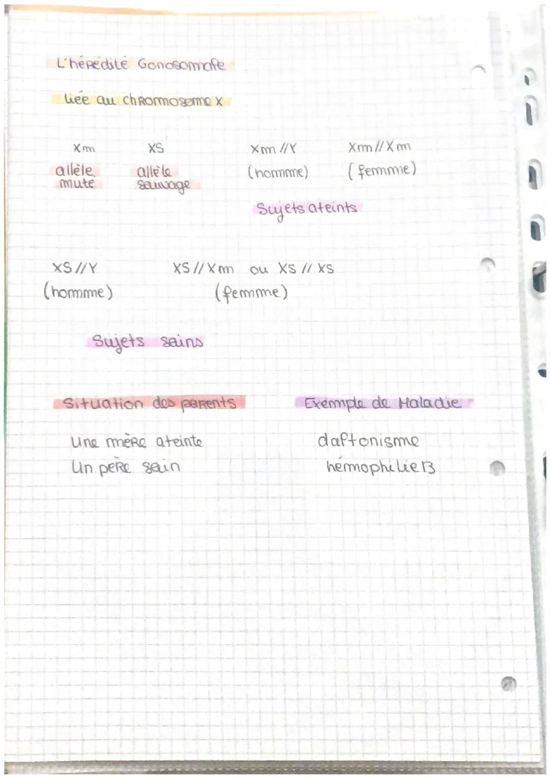 18
La transmission des caracteres
hereditaires
L'hérédité Altosomale
dominante
M
allèle
Mute
Situation des parents
Un parent ateint et
un pa