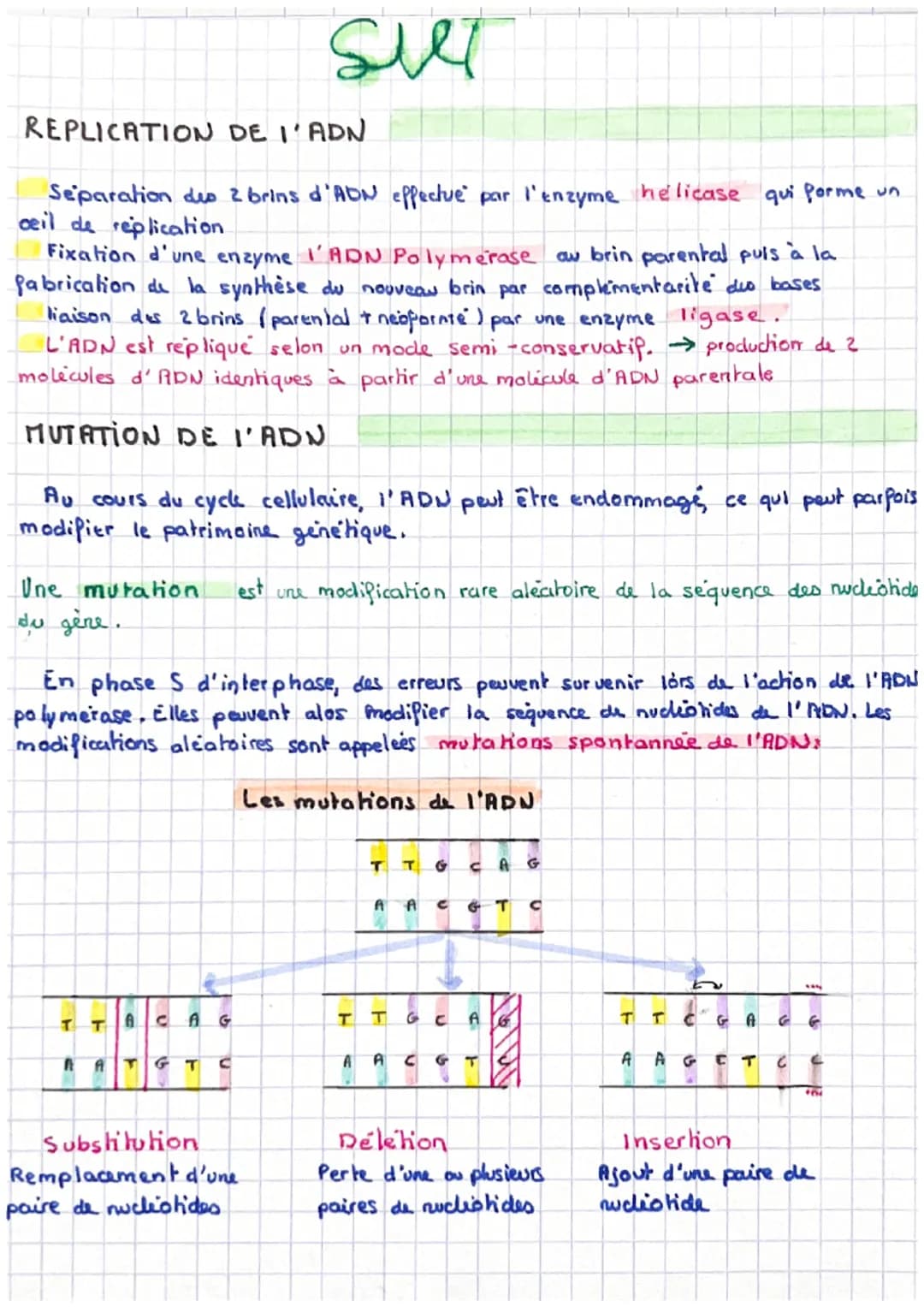 REPLICATION DE I'ADN
Separation des 2 brins d'ADN effectue par l'enzyme helicase qui forme un
ceil de replication
Fixation d'une enzyme I'AD