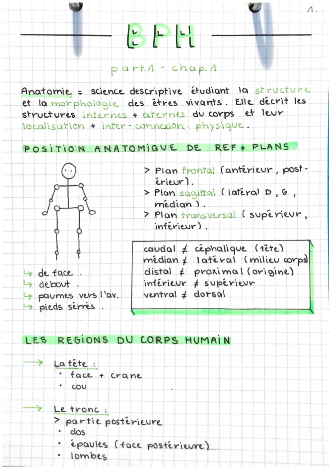 EEH
partn-chap. 1.
Anatomie = science descriptive étudiant la structure
et la morphologie des êtres vivants. Elle décrit les
structures inte