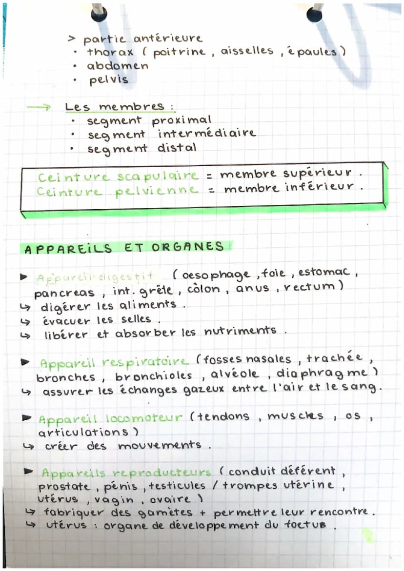 EEH
partn-chap. 1.
Anatomie = science descriptive étudiant la structure
et la morphologie des êtres vivants. Elle décrit les
structures inte