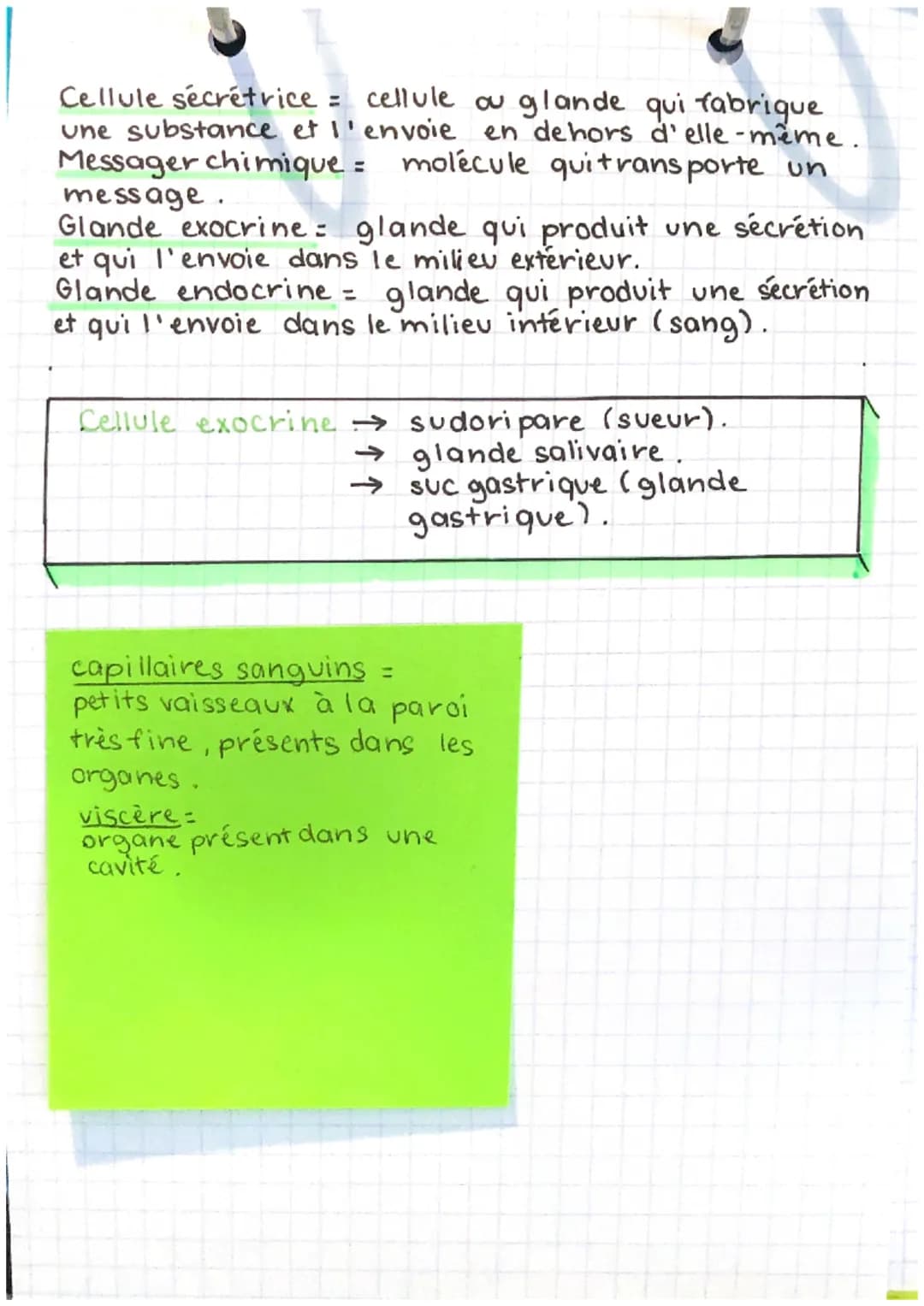 EEH
partn-chap. 1.
Anatomie = science descriptive étudiant la structure
et la morphologie des êtres vivants. Elle décrit les
structures inte