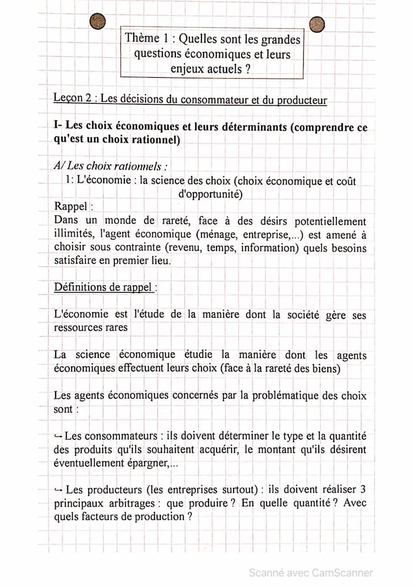 
<h2 id="leschoixconomiquesetleursdterminants">Les choix économiques et leurs déterminants</h2>
<h3 id="leschoixrationnels">Les choix ration