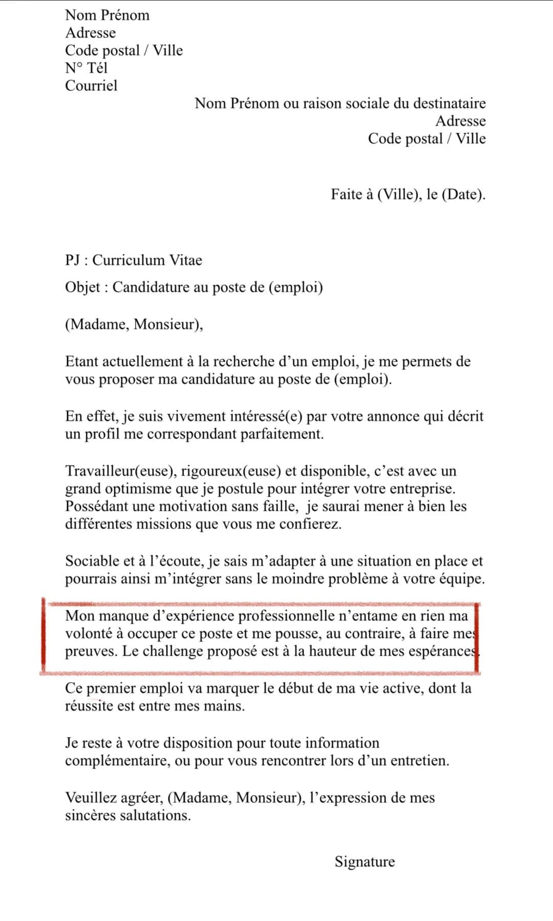 Modèle CV débutant sans expérience pro PDF - Exemple profil et lettre de motivation simple