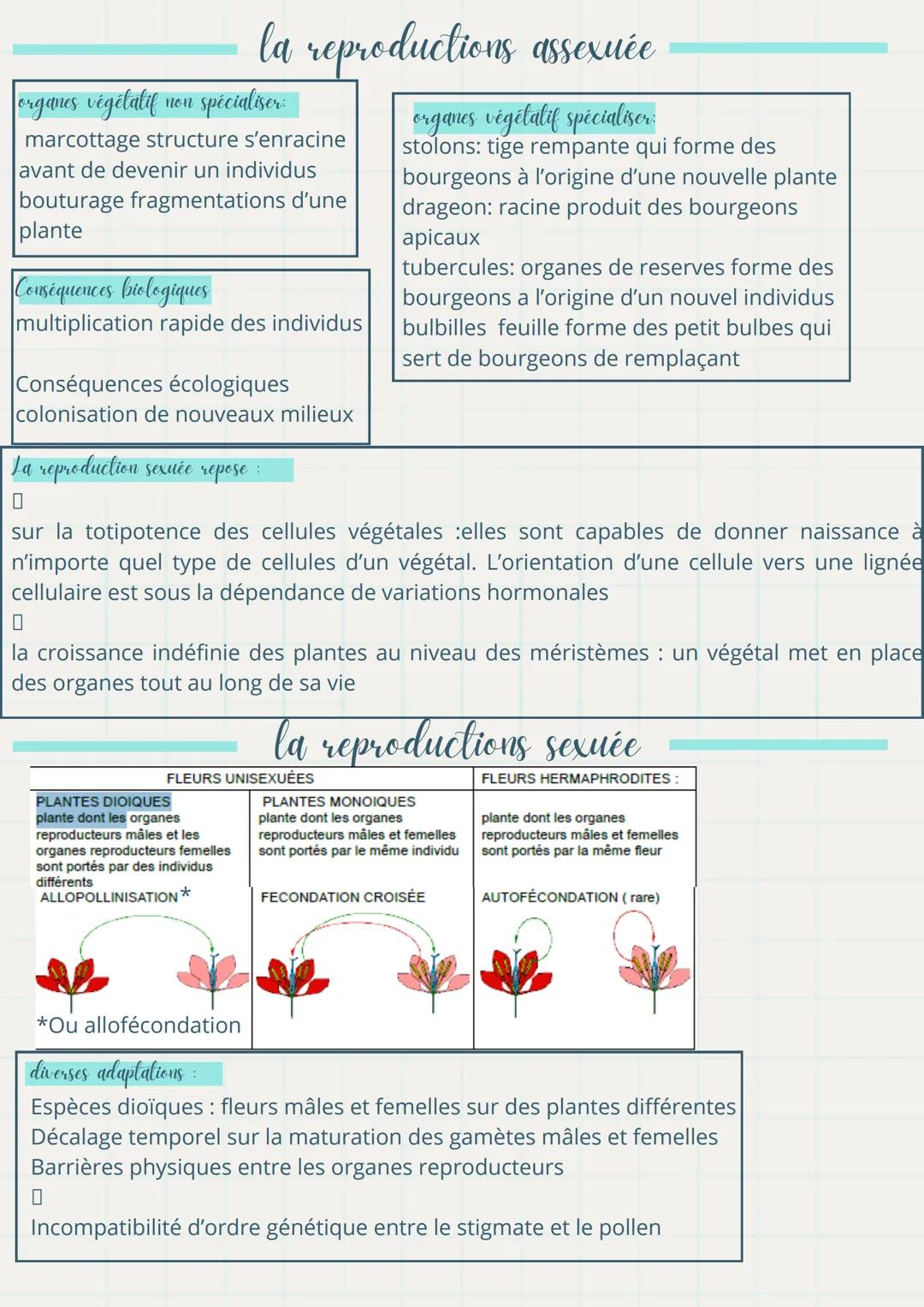 # Ma fiche

de révision de SVT

definitions importantes

- Les Angiospermes: sont des végétaux qui portent des fleurs puis des fruits,
coura
