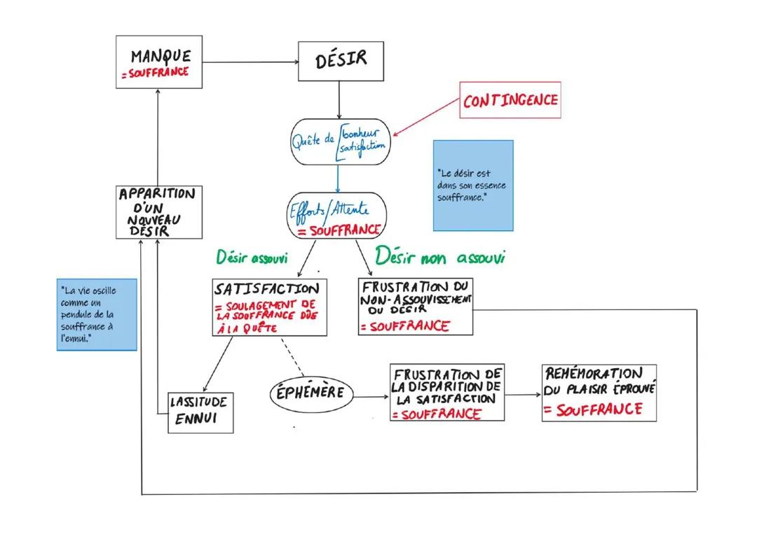 Schéma synthèse de la pensée de Schopenhauer