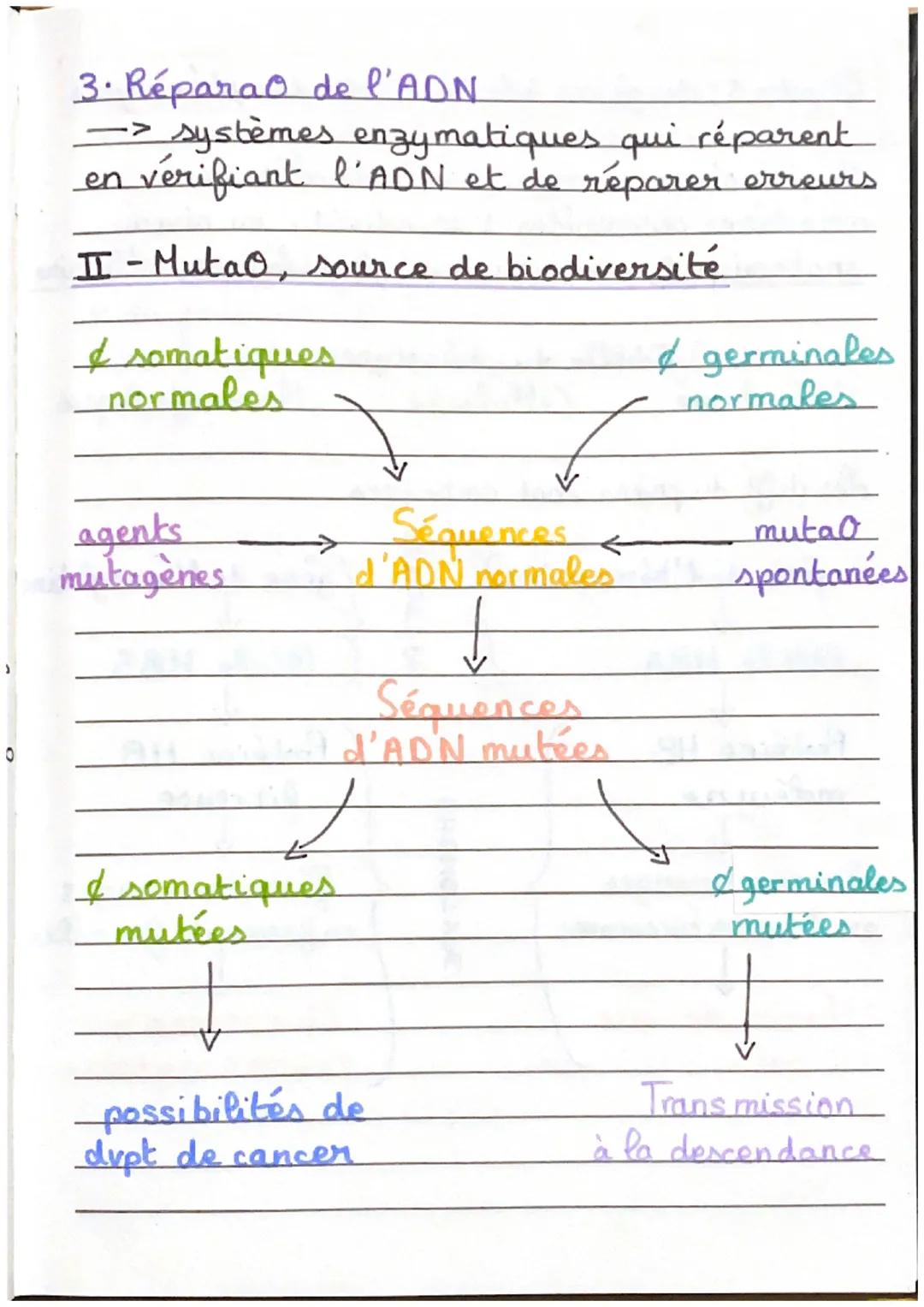 Chapitre 4: Les Mutations
Une mutation est une modifica o du matériel
génétique qui peut affecter
un petit nb de
nucleotides de l'ADN (mutan