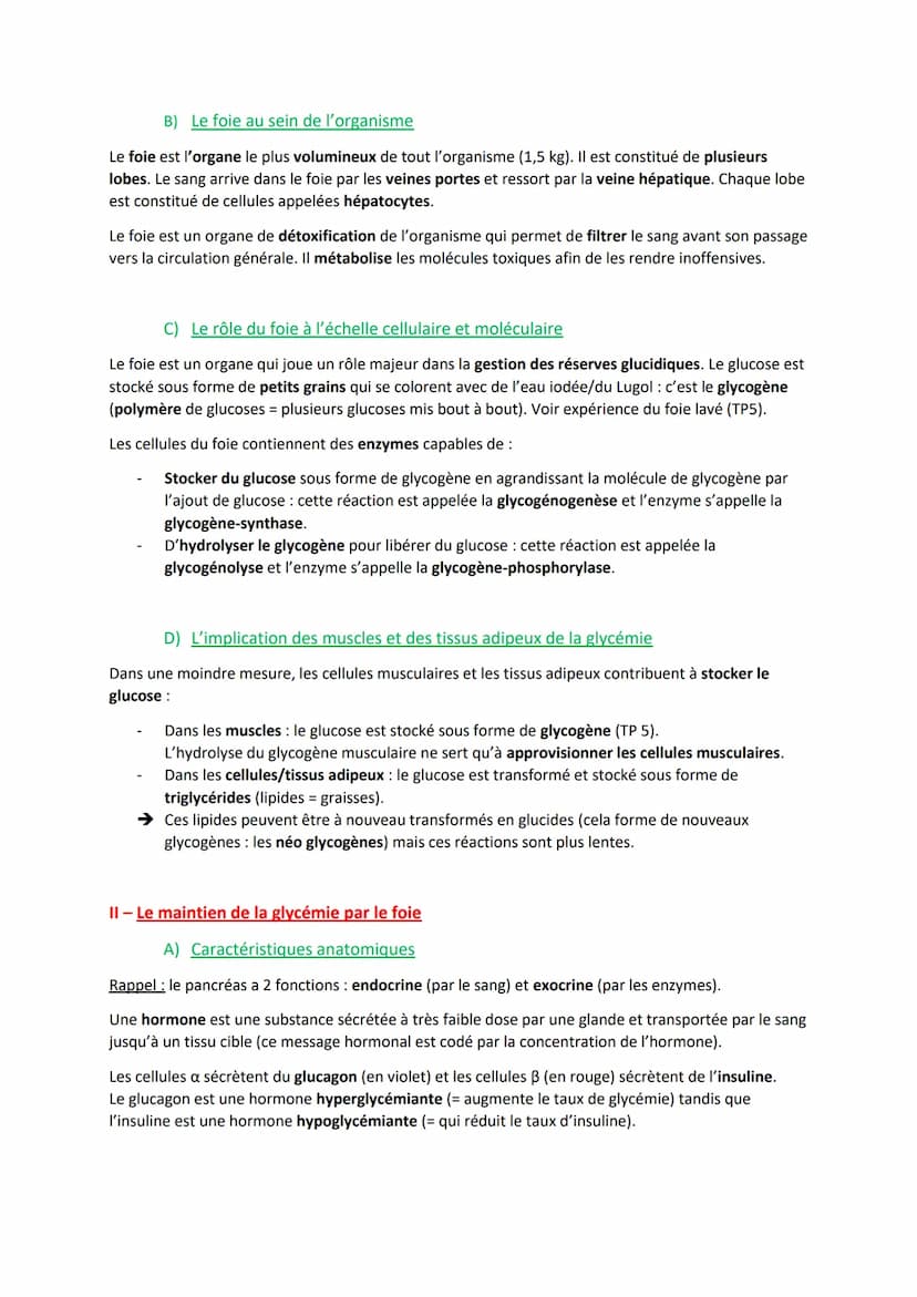 Partie 2: Des enjeux de santé contemporains
Chapitre III -
Introduction :
Régulation de la glycémie et les diabètes
Les cellules sont dépend