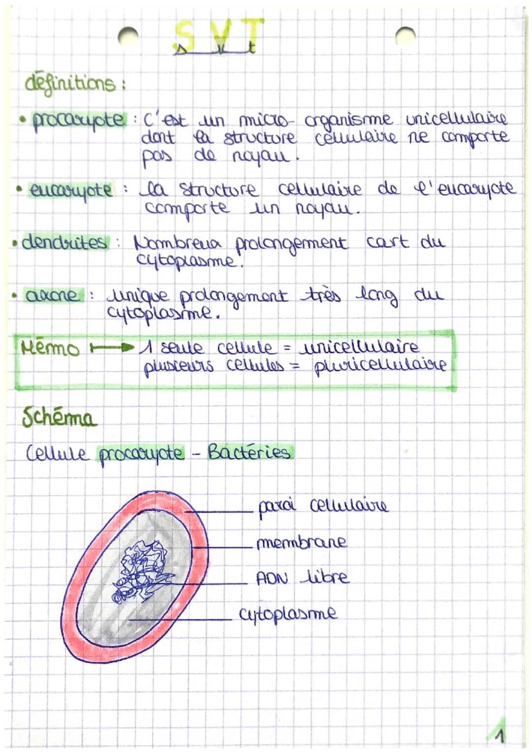 definitions:
• procariote
t
: C'est un micro organisme unicellulaire
dont la structure cellulaire ne comporte
pas de noyau.
la structure cel