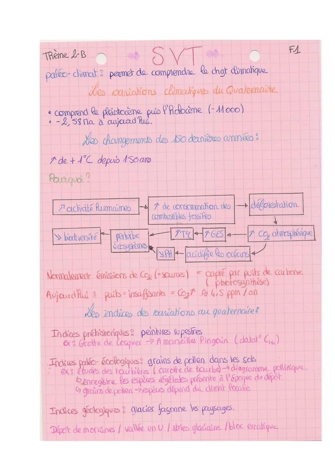 TRème 2-B
SVT
paléo-climat: permet de comprendre le chat climatique
Les variations climatiques du Quatemaire
• comprend le pleistocène puis 