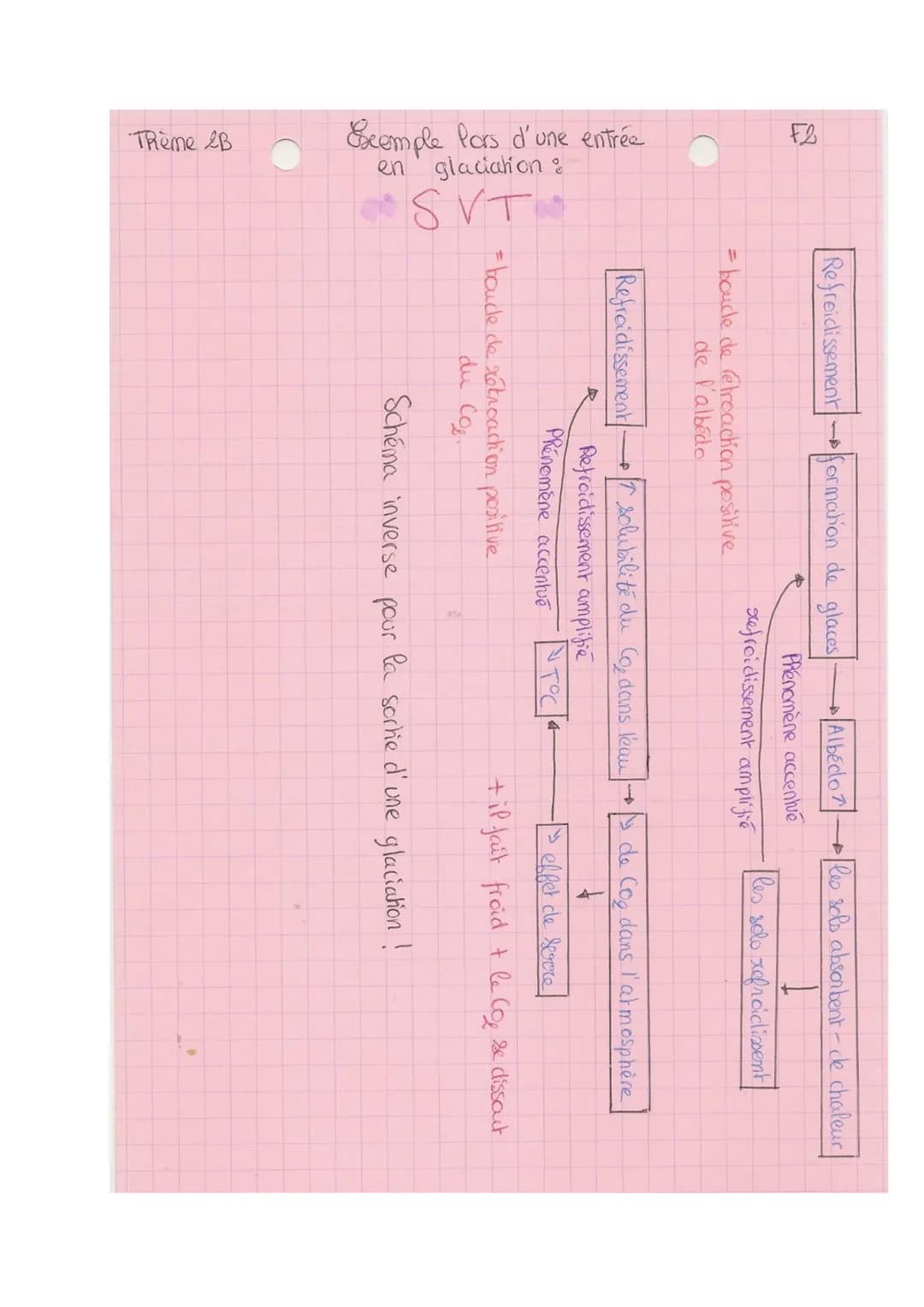 TRème 2-B
SVT
paléo-climat: permet de comprendre le chat climatique
Les variations climatiques du Quatemaire
• comprend le pleistocène puis 