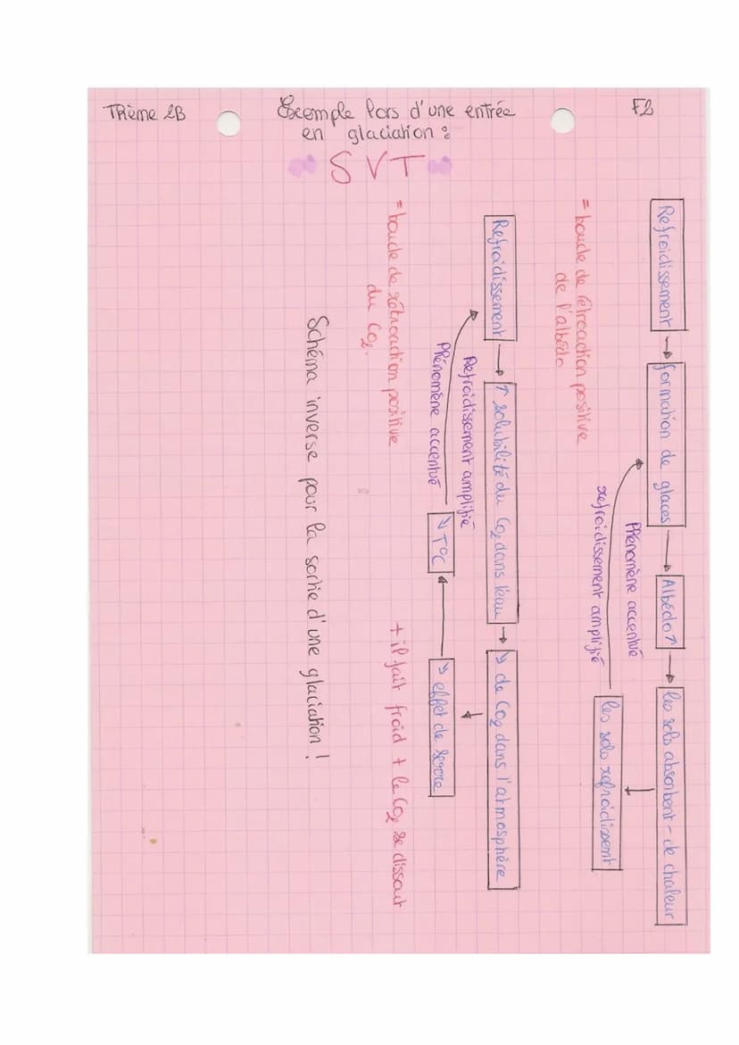 TRème 2-B
SVT
paléo-climat: permet de comprendre le chat climatique
Les variations climatiques du Quatemaire
• comprend le pleistocène puis 