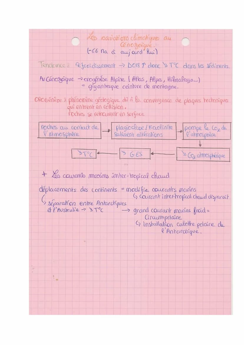 TRème 2-B
SVT
paléo-climat: permet de comprendre le chat climatique
Les variations climatiques du Quatemaire
• comprend le pleistocène puis 