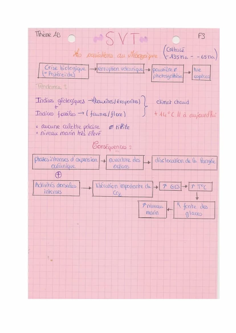 TRème 2-B
SVT
paléo-climat: permet de comprendre le chat climatique
Les variations climatiques du Quatemaire
• comprend le pleistocène puis 