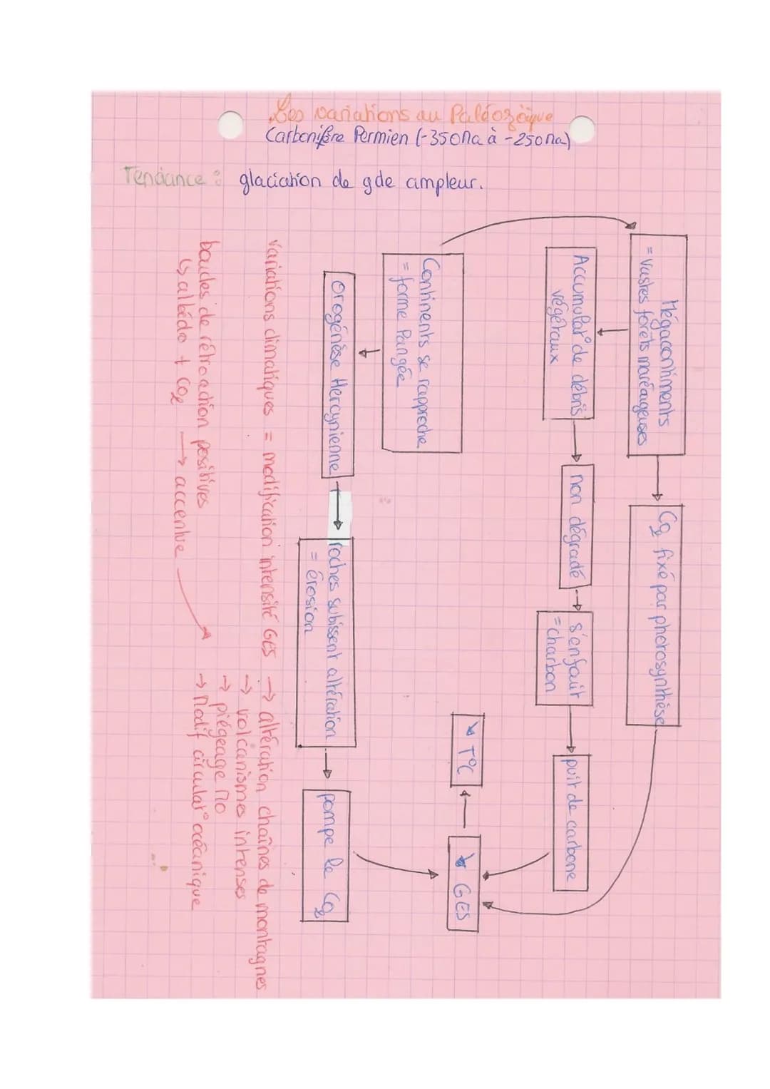 TRème 2-B
SVT
paléo-climat: permet de comprendre le chat climatique
Les variations climatiques du Quatemaire
• comprend le pleistocène puis 