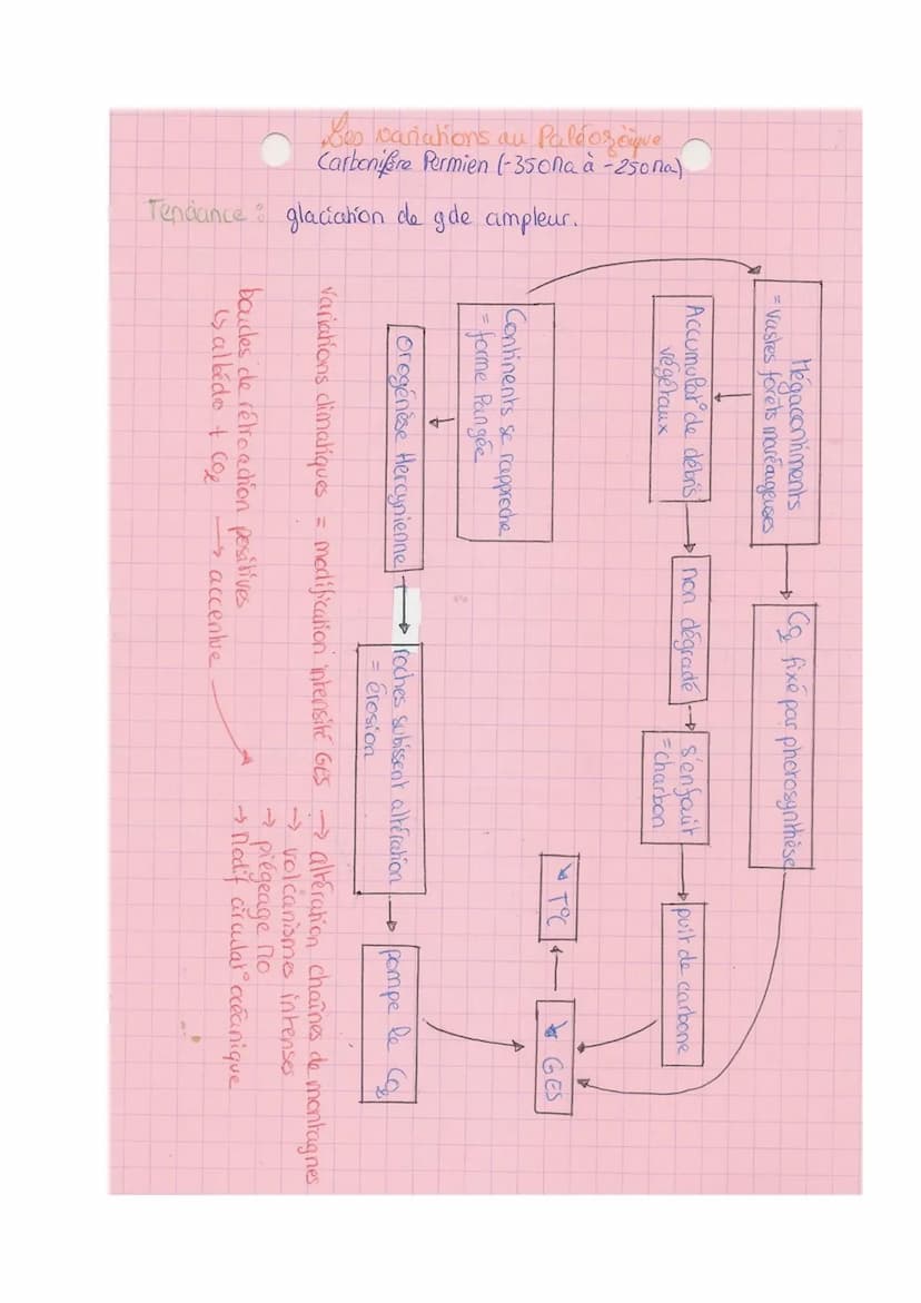 TRème 2-B
SVT
paléo-climat: permet de comprendre le chat climatique
Les variations climatiques du Quatemaire
• comprend le pleistocène puis 