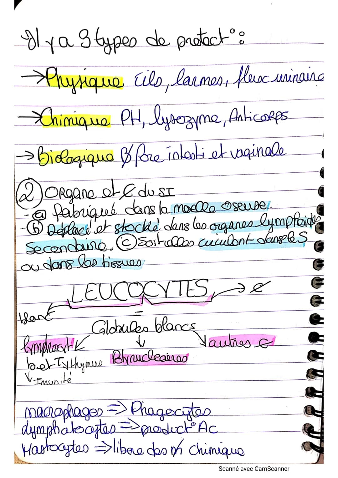 • A A A A A A A A ⠀ ⠀ ⠀ ¶ ¶ ¶ ¶¶¶||-||-||-|-_-)))))
Immuno s: Intro
Immunité:
↳d'ensemble des reactions mise en jeu.
• poor l'organisme pour