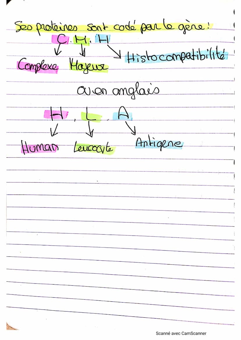 • A A A A A A A A ⠀ ⠀ ⠀ ¶ ¶ ¶ ¶¶¶||-||-||-|-_-)))))
Immuno s: Intro
Immunité:
↳d'ensemble des reactions mise en jeu.
• poor l'organisme pour
