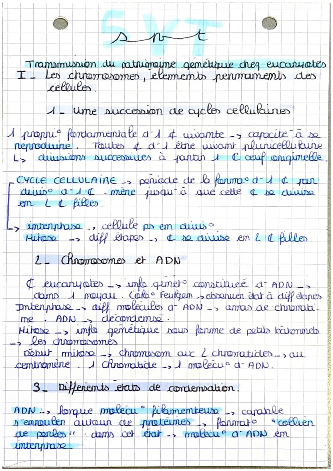 transmission du patrimoine génétique chez les eucaryotes