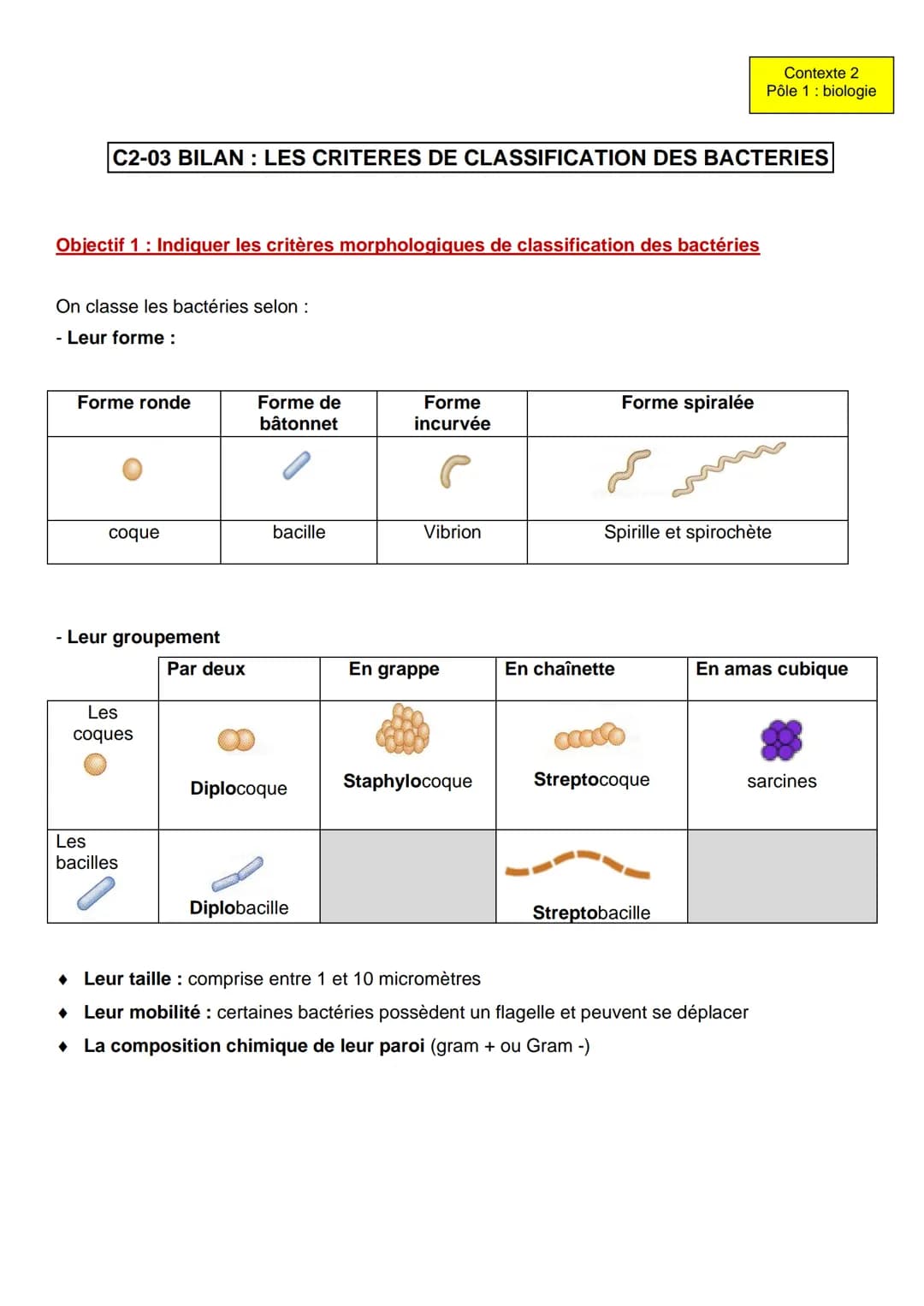 C2-03 BILAN : LES CRITERES DE CLASSIFICATION DES BACTERIES
Objectif 1: Indiquer les critères morphologiques de classification des bactéries
