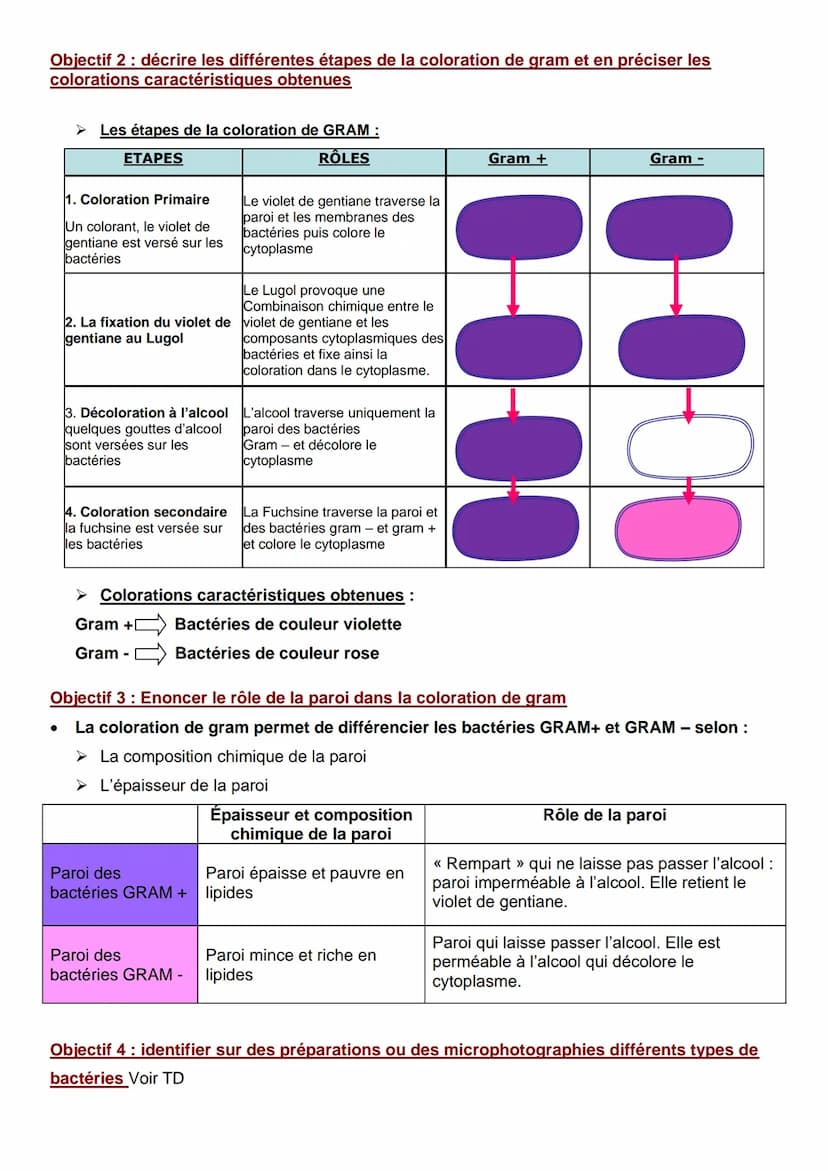 C2-03 BILAN : LES CRITERES DE CLASSIFICATION DES BACTERIES
Objectif 1: Indiquer les critères morphologiques de classification des bactéries
