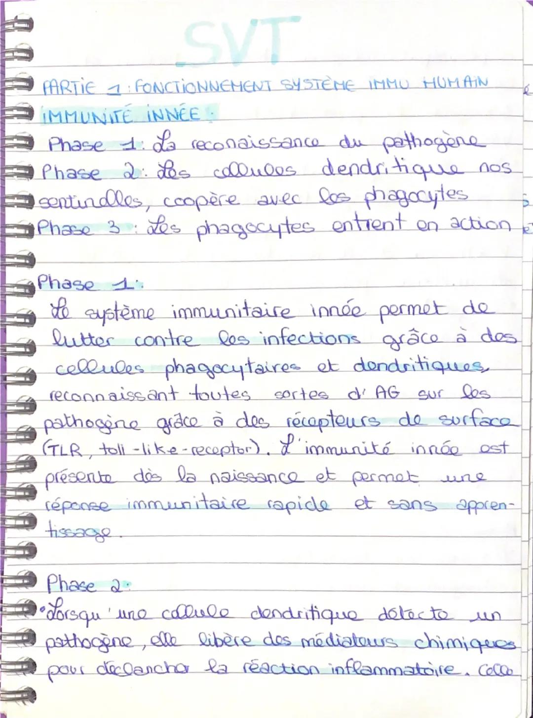 SVT

PARTIE FONCTIONNEMENT SYSTÈME IMMU HUMAIN

IMMUNITÉ INNÉE.

Phase 1: La reconaissance du pathogène

Phase 2: Les collules dendritique n