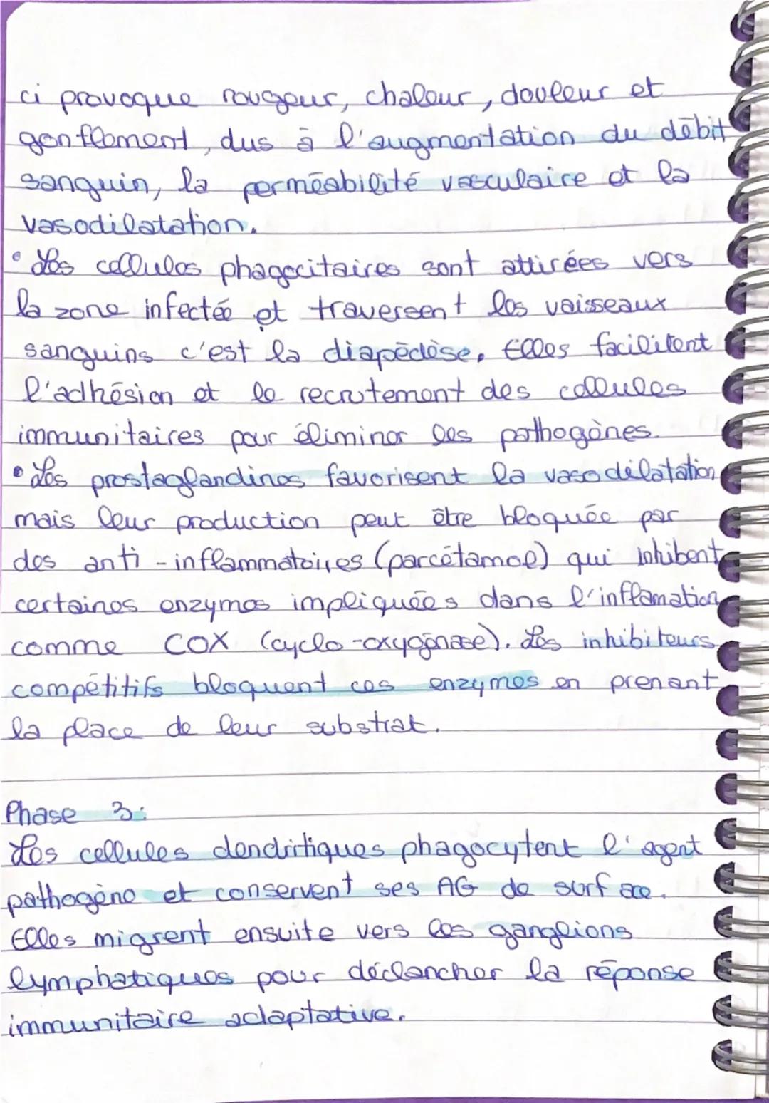 SVT

PARTIE FONCTIONNEMENT SYSTÈME IMMU HUMAIN

IMMUNITÉ INNÉE.

Phase 1: La reconaissance du pathogène

Phase 2: Les collules dendritique n