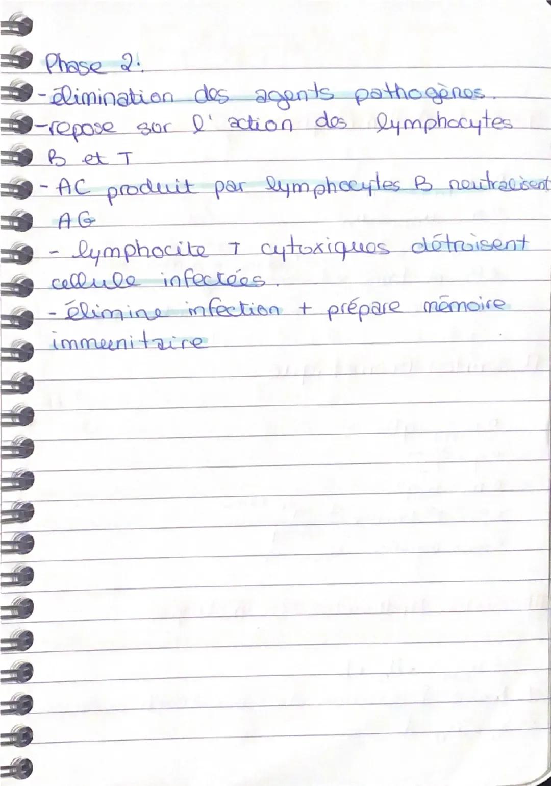 SVT

PARTIE FONCTIONNEMENT SYSTÈME IMMU HUMAIN

IMMUNITÉ INNÉE.

Phase 1: La reconaissance du pathogène

Phase 2: Les collules dendritique n
