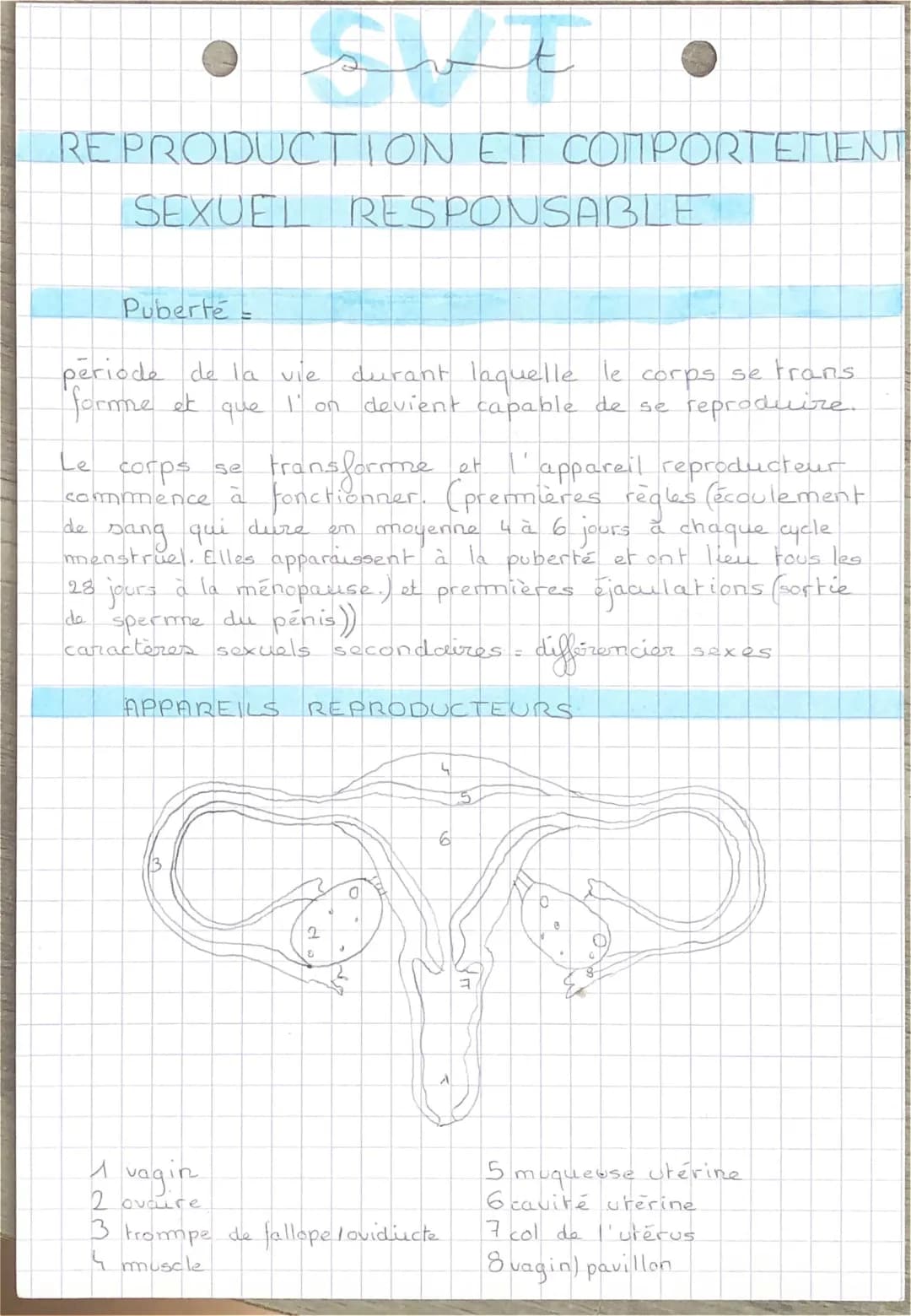 Tout sur la Puberté et les Méthodes de Contraception - Cours SVT 4ème