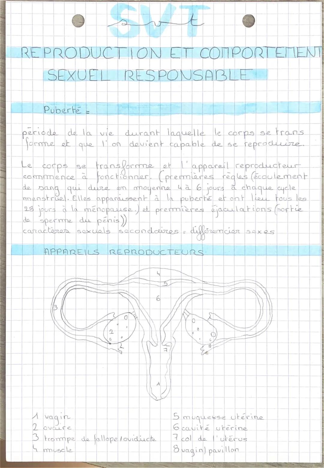 Tout sur la Puberté et les Méthodes de Contraception - Cours SVT 4ème