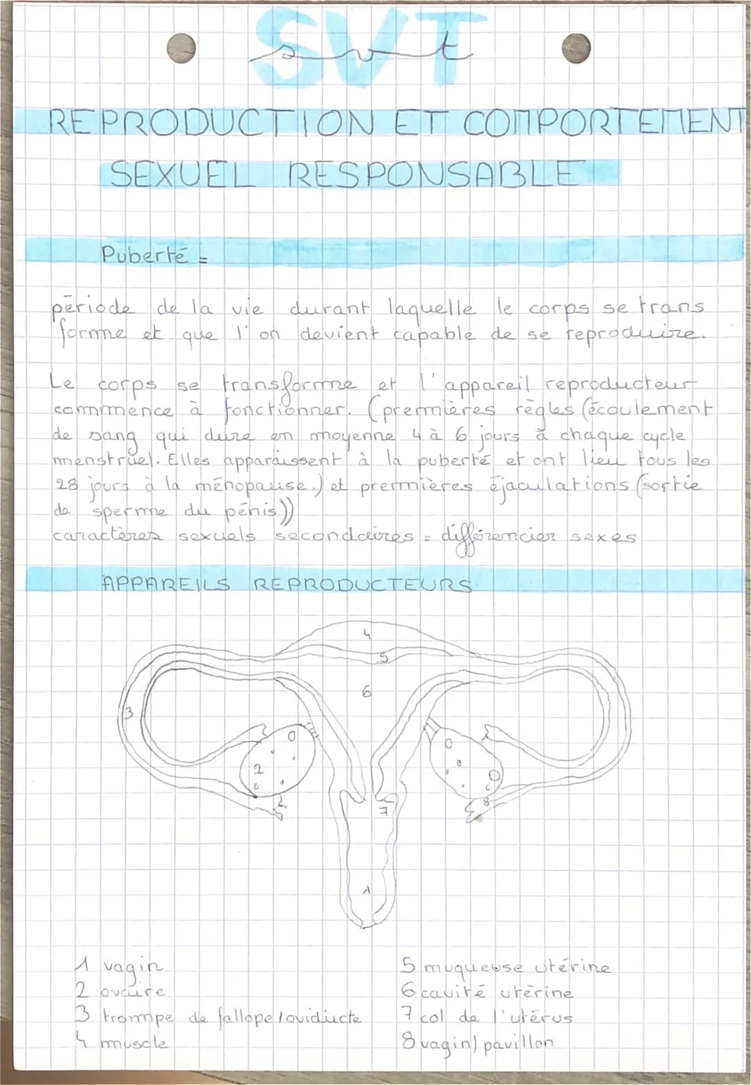 REPRODUCTION ET COMPORTEMENT
SEXUEL RESPONSABLE
Puberte
Le
periode de la vie
forme et
que
ه تلسیم
corps se
transforme et l'appareil reproduc