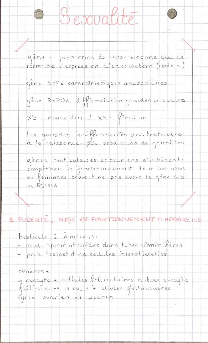 REPRODUCTION ET COMPORTEMENT
SEXUEL RESPONSABLE
Puberte
Le
periode de la vie
forme et
que
ه تلسیم
corps se
transforme et l'appareil reproduc