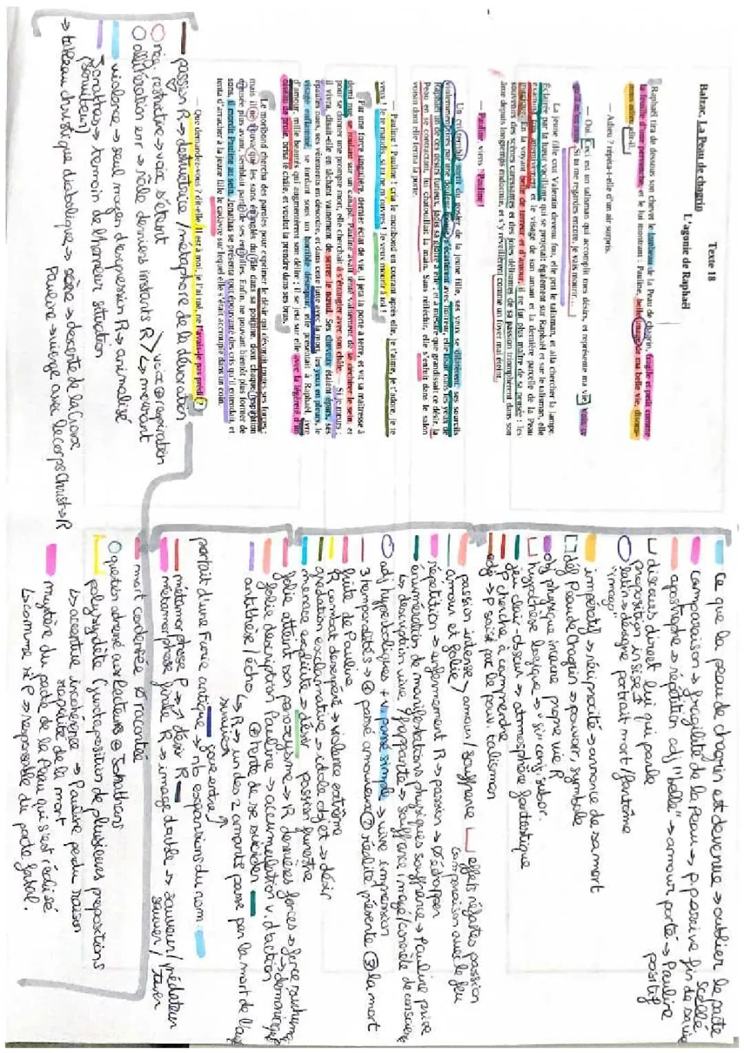 Balzac's Magic Skin: Cool Symbols and Metaphors!