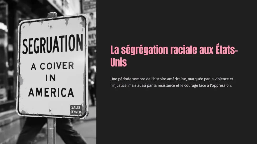 Ségrégation raciale au États-Unis