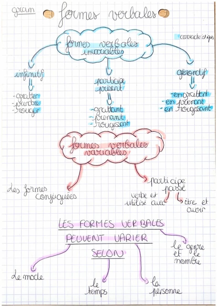 SUBORDONNEE COMPLETIVE
L> mot introducteur : conjonction de subordination
(₁
Les subordonnées
})
proposition bout de phrase qui
contient un 