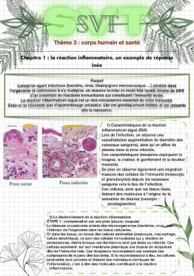 Know Fiche de révision SVT sur la réaction inflammatoire  thumbnail