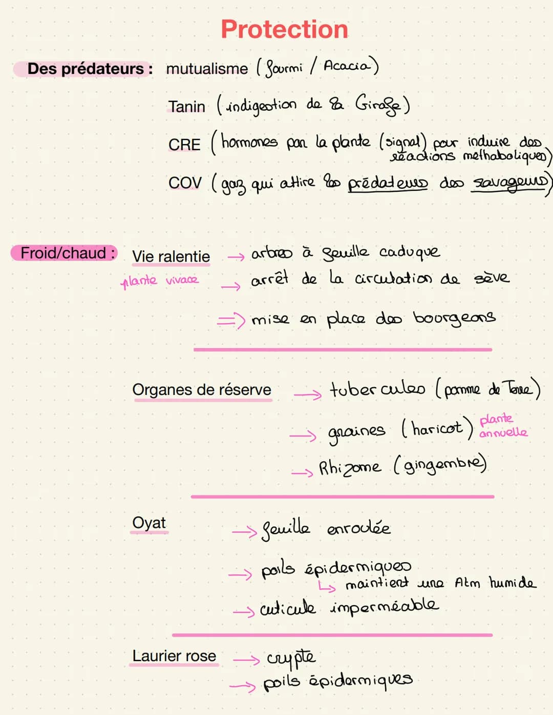 épiderme-
palissadique
parenchyme
Lacuneus
cuticule
CO₂
Cellule alongée
=gronde
Sursace
d'échange
impermeable
Distribution de matière
Stomat