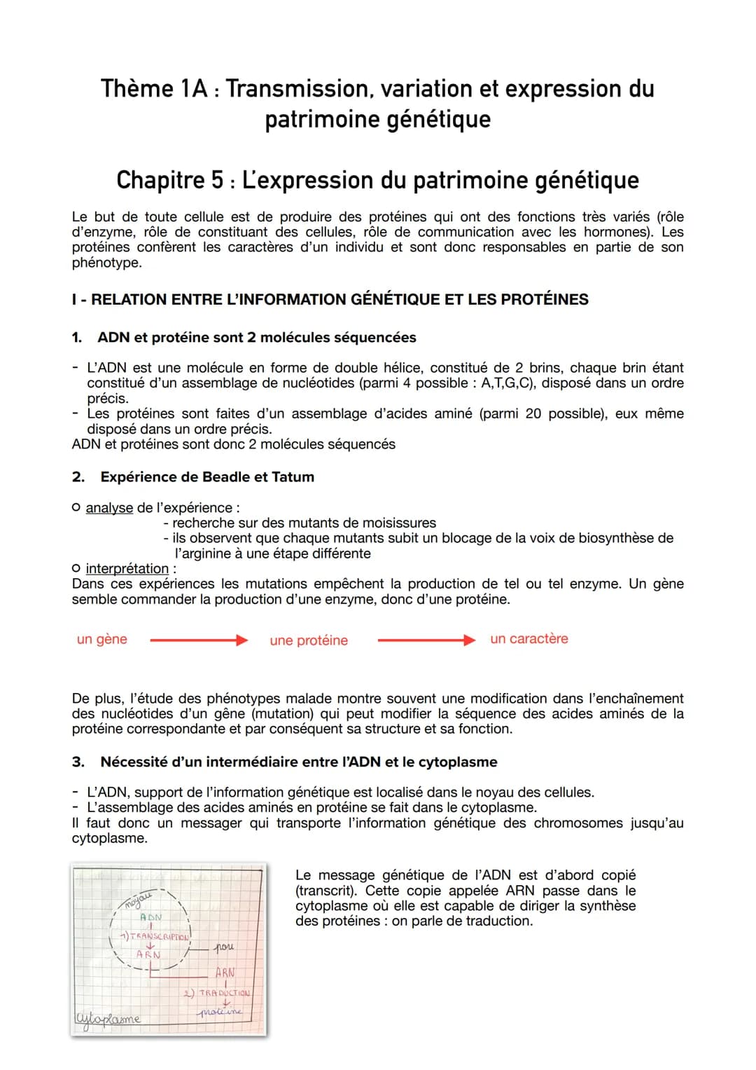 Thème 1A: Transmission, variation et expression du
patrimoine génétique
Chapitre 5 : L'expression du patrimoine génétique
Le but de toute ce
