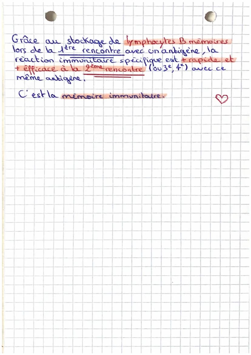 C
SVT
Système immunitaire
Les étapes de la phagocyte
backeries
3
noyau du
phagocyte
ADHESION
molecule
destructrices
phagocyte
3 DIGESTION
E
