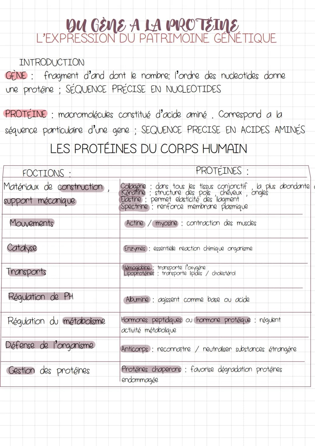 DU GÈNE A LA PROTÉINE
L'EXPRESSION DU PATRIMOINE GÉNÉTIQUE
INTRODUCTION
GÈNE fragment d'and dont le nombre: l'ordre des nucleotides donne
un