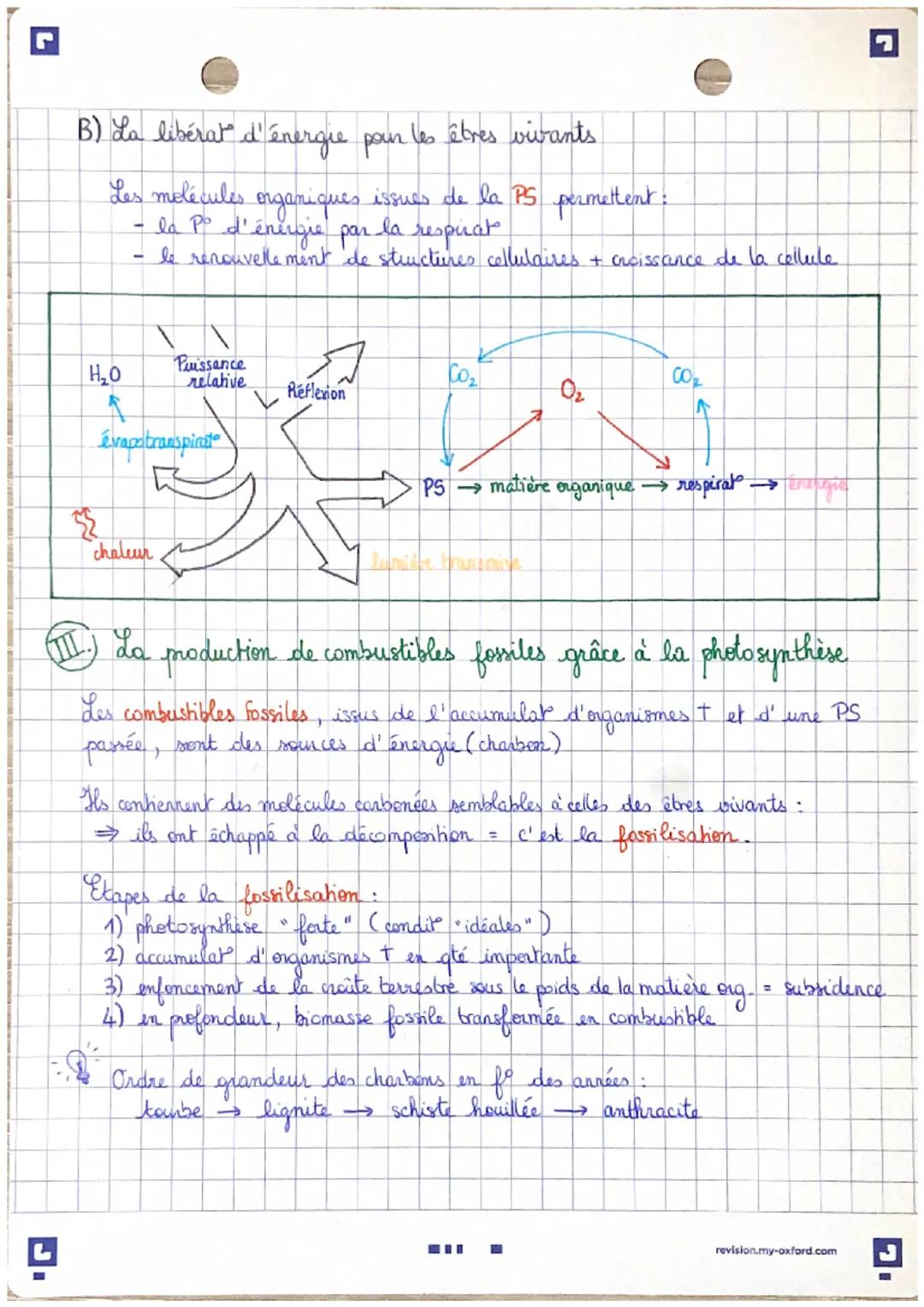 # ES SVT : LA PHOTOSYNTHESE

I. La photosynthèse : une définition

photo synthèse = réachons chimiques ues qui permellent aux végétaux de pr