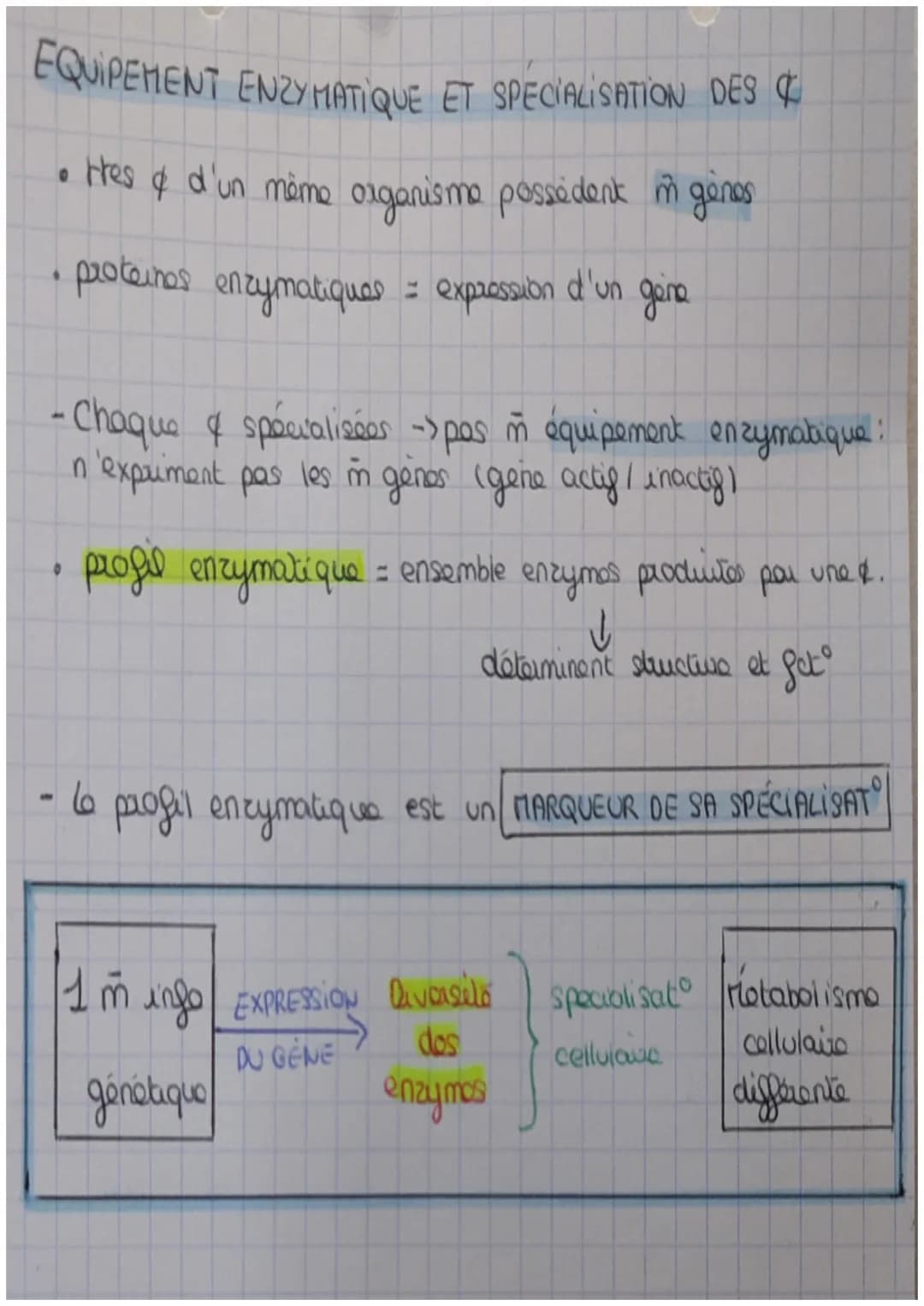 set
LES ENZYMES, DES CATALYSEURS BIOLOGIQUE
1 réaction chimique / 1 enzyme.
↓
protéine
Enzymes = BIOCATALYSEURS OU ACCELERATEURS de react ch