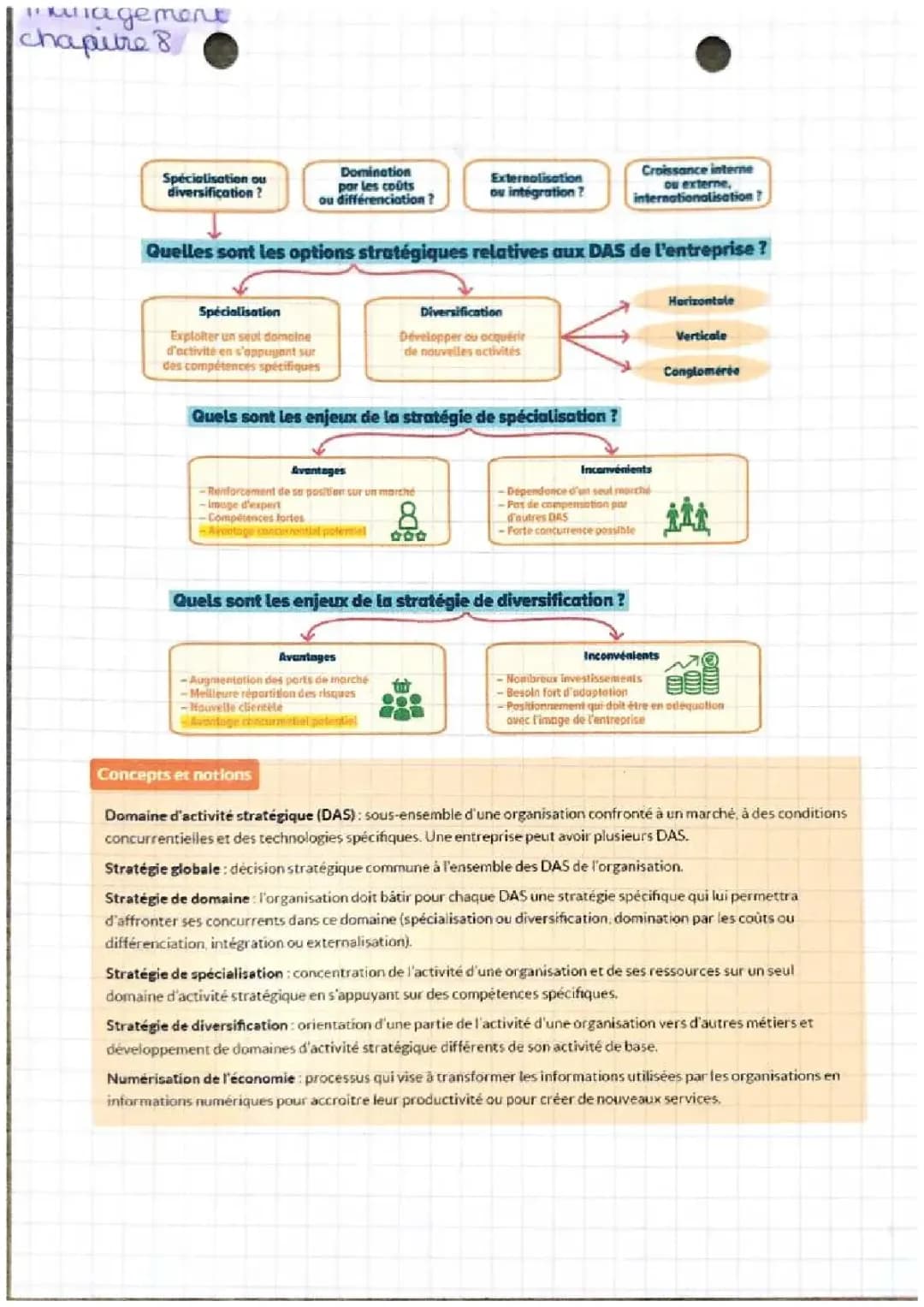 Stratégies de Spécialisation et Diversification : Avantages et Inconvénients
